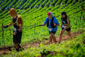 BIB: 
                            <button type="button" onclick="openModal(19162144)" class="btn btn-primary btn-sm float-right btn-popup" data-toggle="modal" data-target=".modal-high-quality">
                        <i class="fas fa-shopping-cart"></i> Add to Cart
                    </button>
                                            <button type="button" onclick="isThisMe(19162144, true)" class="btn btn-success btn-sm float-right btn-popup btn-isme hidden" data-toggle="tooltip" data-placement="bottom" title="นี่คือรูปของคุณใช่ไหม คลิกที่นี่เพื่อเอาเข้าอัลบั้ม">
                        <i class="fas fa-plus"></i> Add to album
                    </button>
                    <button type="button" onclick="isThisMe(19162144, false)" class="btn btn-warning btn-sm float-right btn-popup btn-isnotme hidden">
                        <i class="fas fa-ban"></i> Remove from album
                    </button>